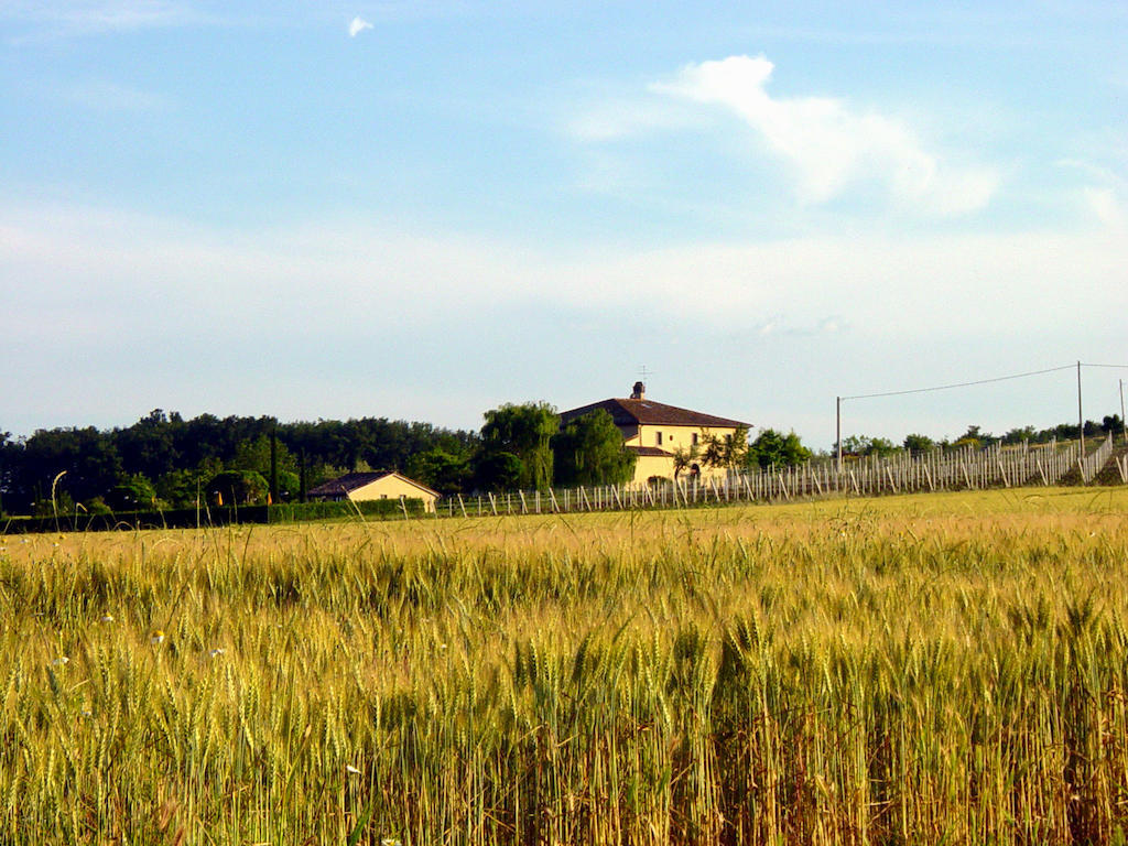 Agriturismo Verbena Castiglione del Lago Eksteriør bilde