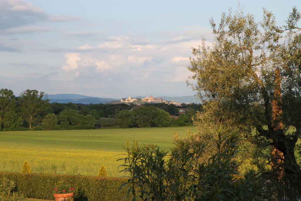 Agriturismo Verbena Castiglione del Lago Eksteriør bilde